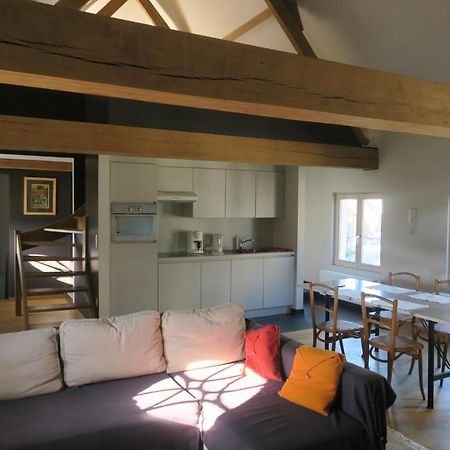B&B / Studio De Druivelaar In Hartje Kluisbergen Dış mekan fotoğraf
